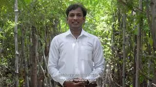Une forêt dans une usine à Chennai, en Inde thumbnail